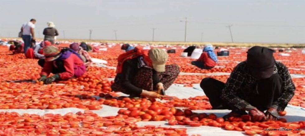 DİYARBAKIRDAN AVRUPA LEZETİ