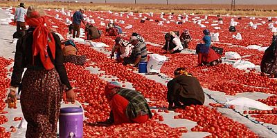 DİYARBAKIRDAN AVRUPA LEZETİ