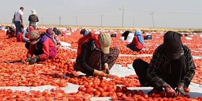 Zengin Kesesindekini Derviş Gönlündekini Verir